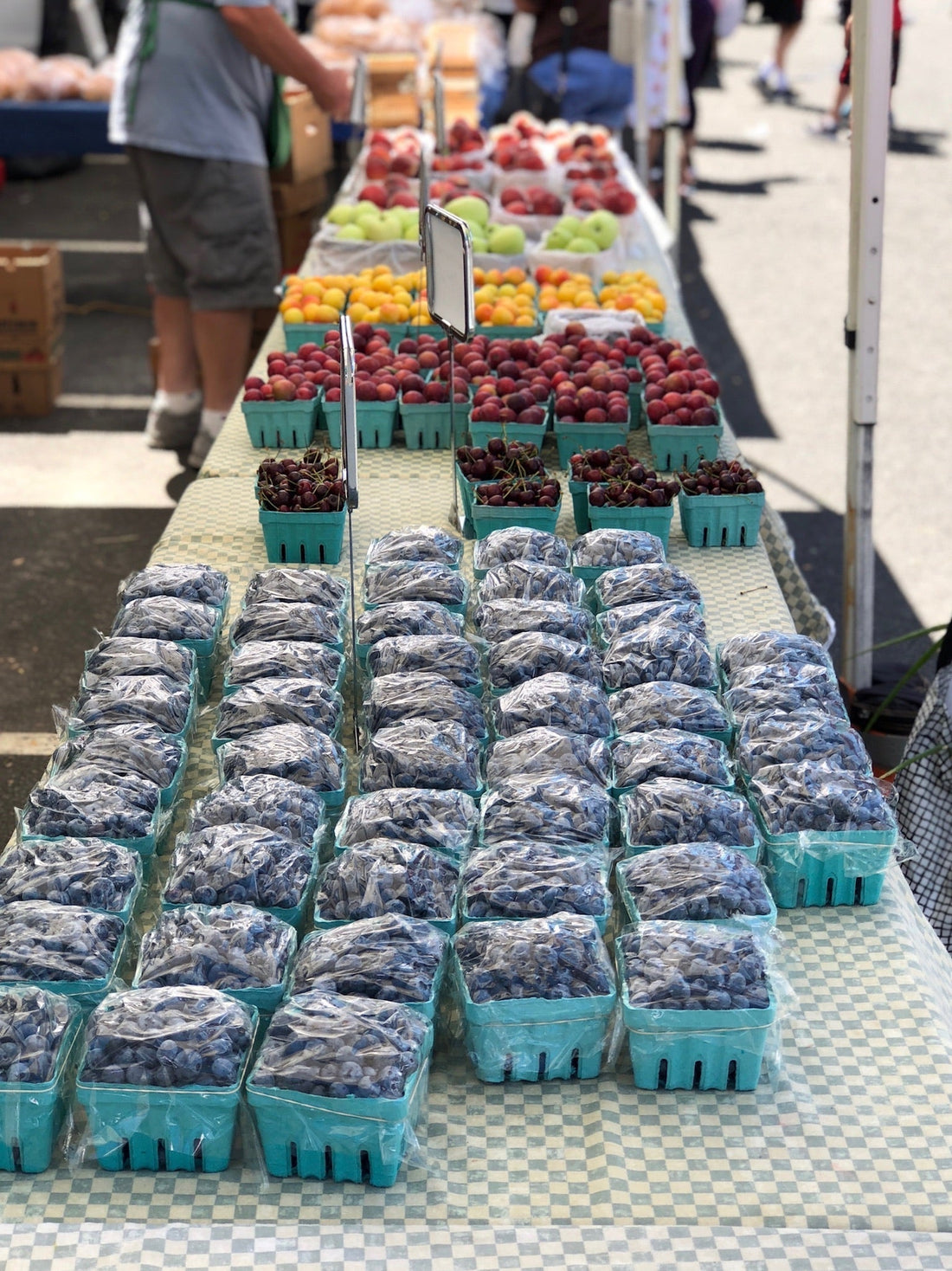 The Fruitful Bounties of July!